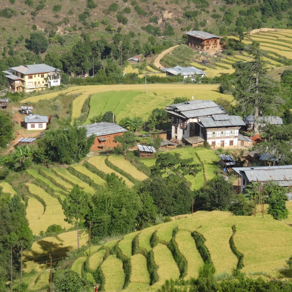 Punakha et sa vallée